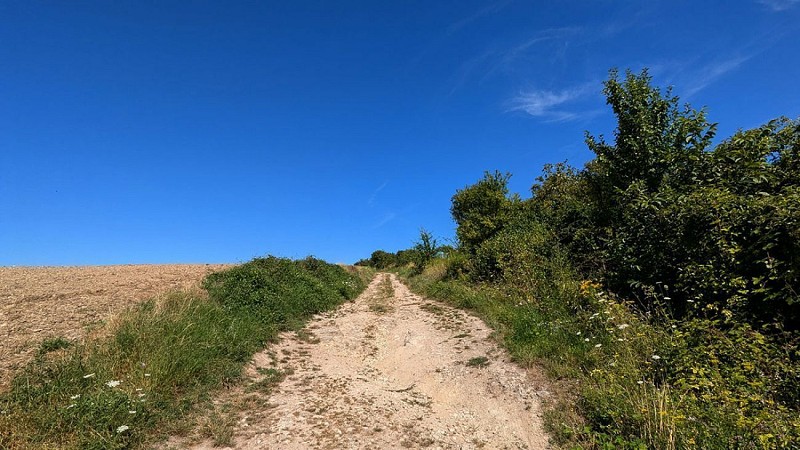 Hauteurs de Beaurieux III