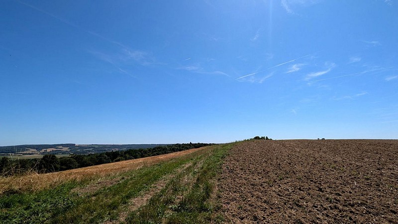 Hauteurs de Beaurieux