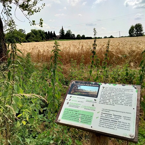 Chemin de la Bécasse