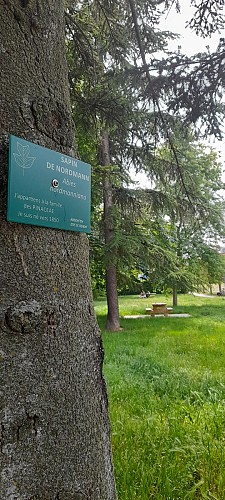 Castanet-Tolosan_Tulipier