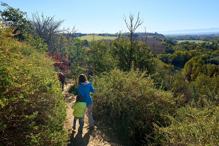 Balcon sur les pyrénées