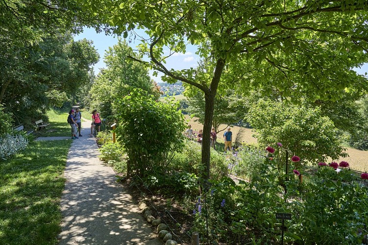 Ramonville_jardin senteurs couleurs