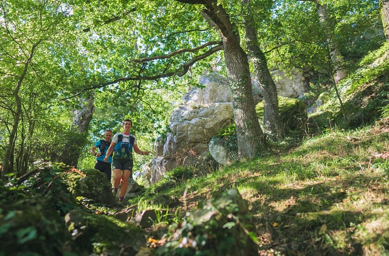 La_Conquérante_en_Suisse_Normande