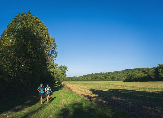 photo1_montseraines©le7emeStudio.fr