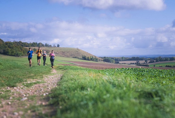 photo3_monteraines_Laurent_Besnehard_7 studio
