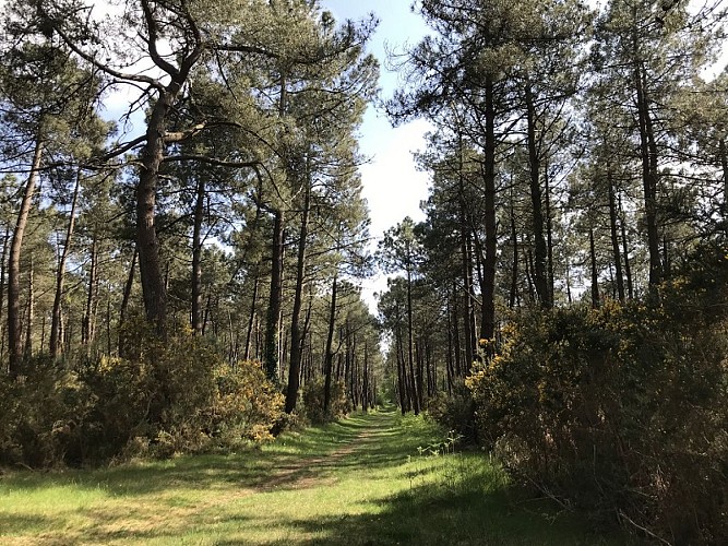 circuit-donjon-moulin-pirou