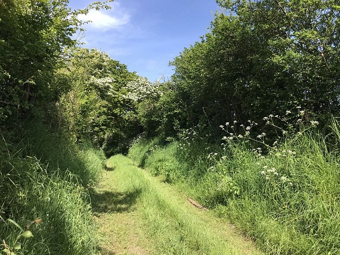 circuit-donjon-moulin-pirou