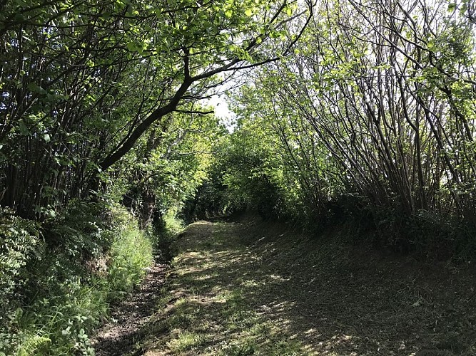 circuit-donjon-moulin-pirou