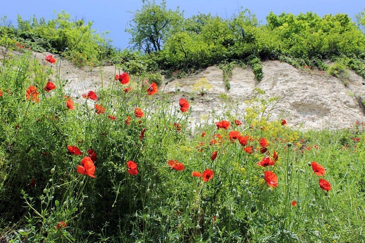 La Boucle de Château-Porcien