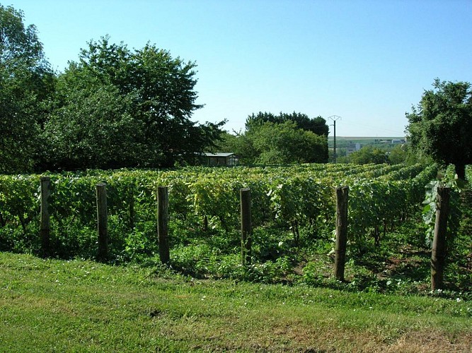 La Boucle de Château-Porcien