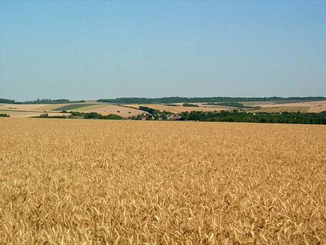 La Boucle de Château-Porcien