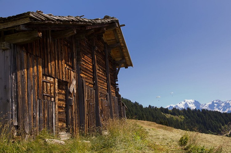authentique-ferme-alpage