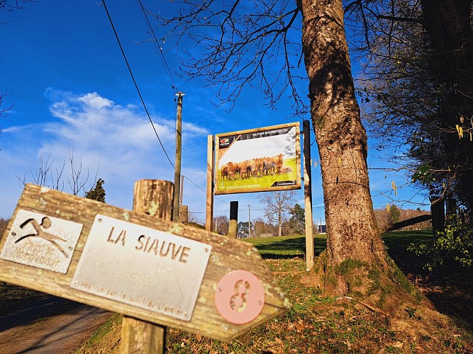 Présentation - La Siauve - Beyssac © JL OT TDC (27)