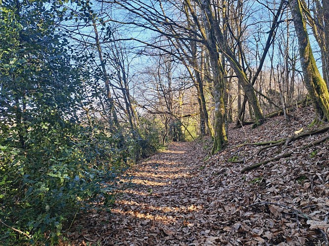 Présentation - La Siauve - Beyssac © JL OT TDC (11)
