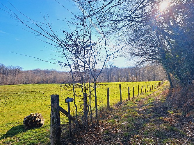 Présentation - La Siauve - Beyssac © JL OT TDC (6)