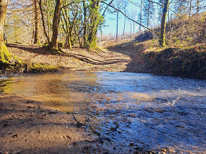 Eglise St Eutrope - La Siauve - Beyssac © JL OT TDC (4)