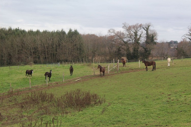 Domaine de la Rivière - Les Moulins - St Sornin Lavolps © J.Lautrete OT TDC (4)
