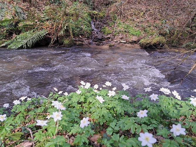 Présentation - La Tine - Conceze © J.Lautrete - Office de Tourisme Terres de Correze