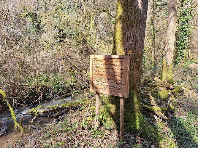 La Tine - Concèze © J.Lautrete - Office de Tourisme Terres de Correze (1)