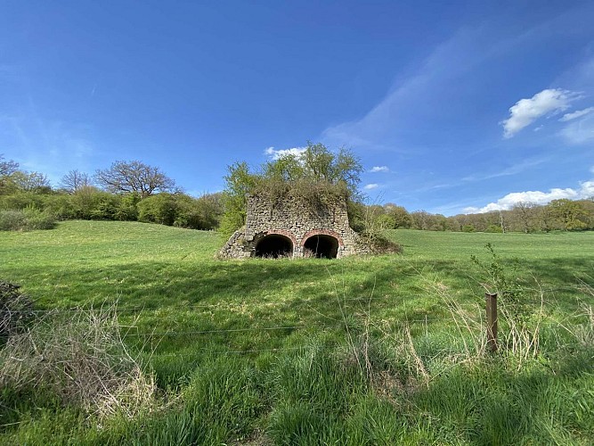 Wandeling ''Trou des Renards" - 13km