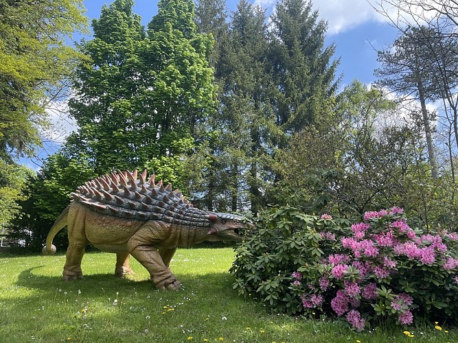 Dino-zoo