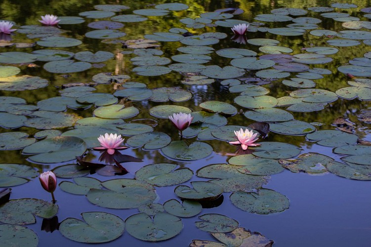 arboretum al gaulhia 