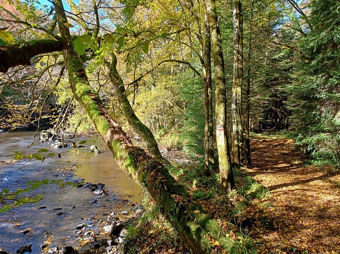 Le Circuit de la Vézère - Vigeois © A.Blanchet - Office de tourisme terres de corrèze (2)