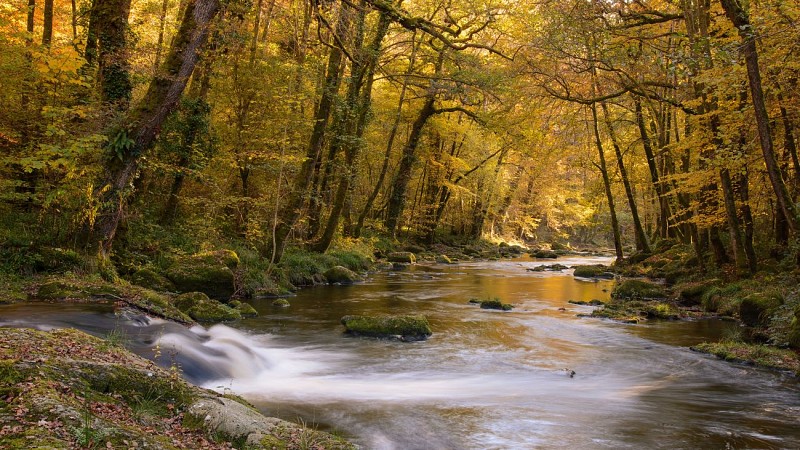 Rivière Vézère - ©Bruno Férignac