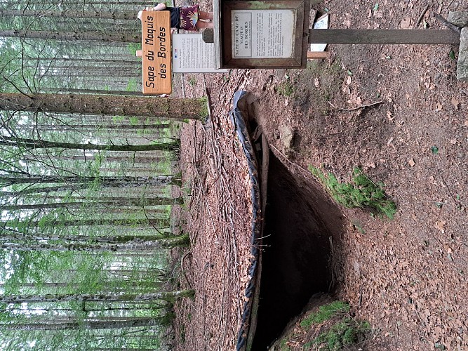 Sape du Maquis des Bordes - Clédat © Jade Lautrete