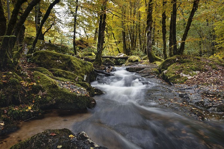 Cascades Tine - Pradines-print © Benoit Charles (2)