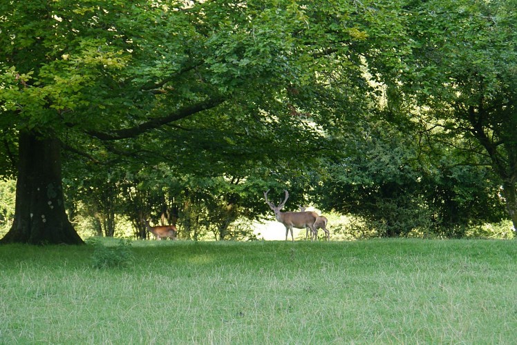 Le Mont Vert Alquines