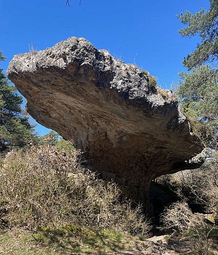 Gorges de la Jonte via le Champignon Préhistorique et l’ermitage St Michel