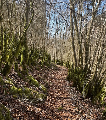 Gorges de la Jonte via le Champignon Préhistorique et l’ermitage St Michel