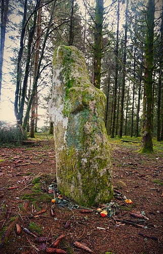 Bonnefond Menhir du Pilard
