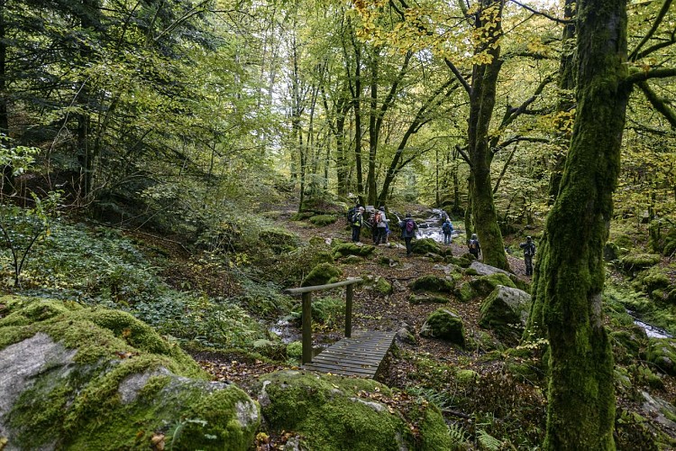 Cascades Tine - Pradines-print © Benoit Charles (8)