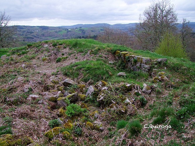 Vestiges du château