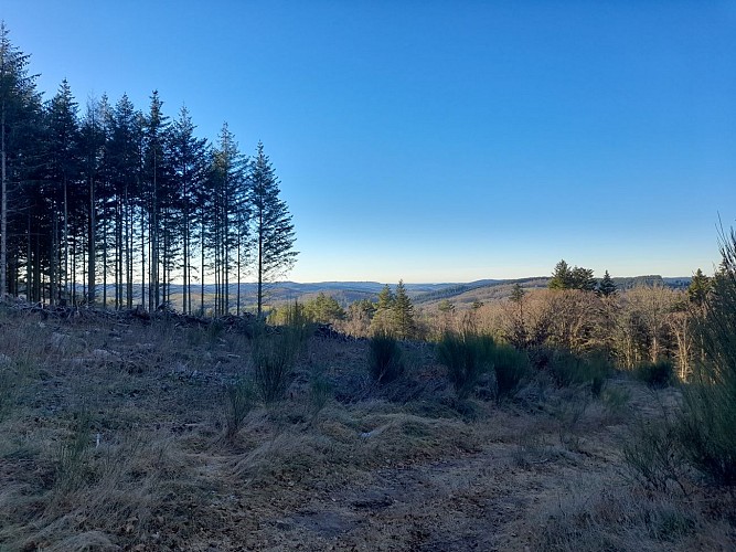 Reco Terra Tarnac - ©Nat Jumelle (15)