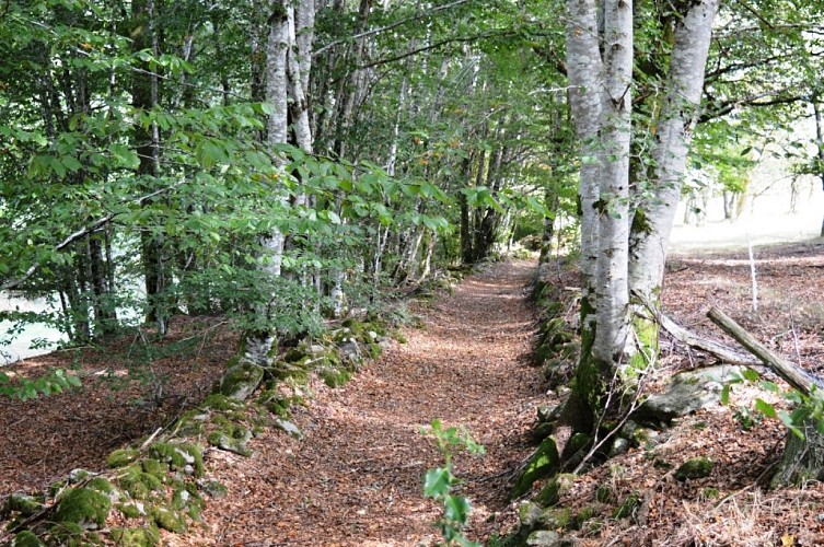 chemin_muret