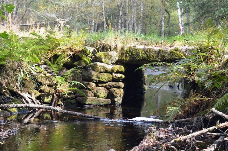 pont