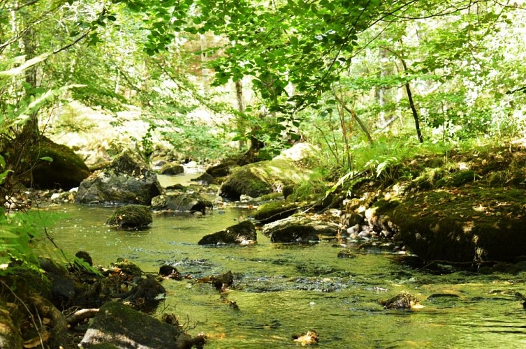 rivière