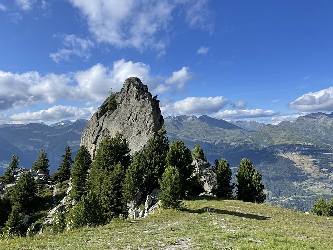 Le signal des têtes