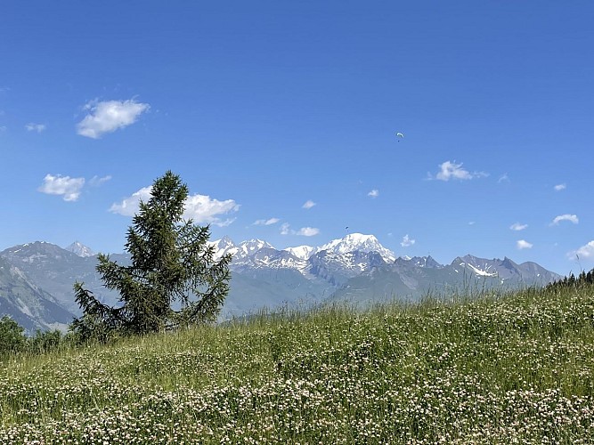 Arc 1800 to the Golf