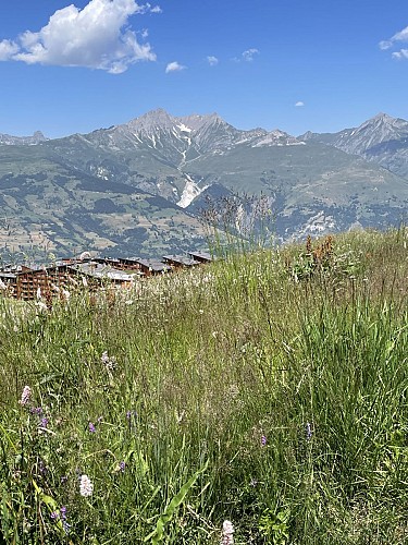 Arc 1800 to the Golf