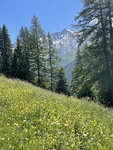 Arc 1800 to the Chapelle N.D. des Vernettes