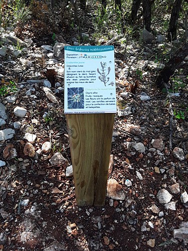 Une des 8 bornes botaniques jalonnant le circuit