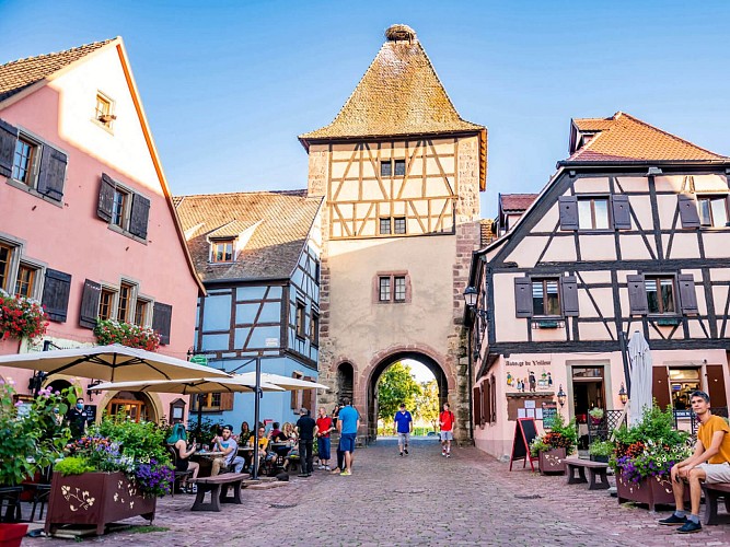 Spazieren Radfahren - Zwischen Weinbergen und Wäldern