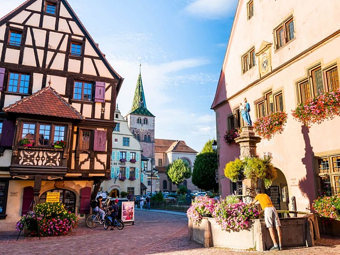 Spazieren Radfahren - Zwischen Weinbergen und Wäldern