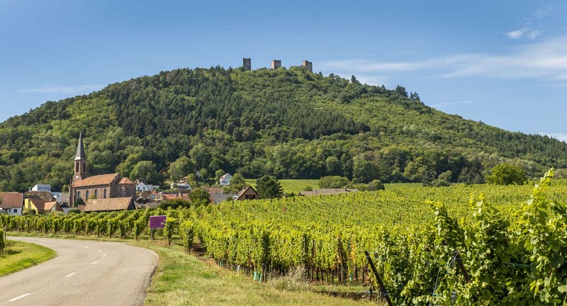 Spazieren Radfahren - Zwischen Weinbergen und Wäldern