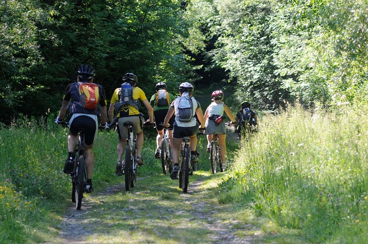 Balade à VTT du Finsterkopf, Niederbronn-les-Bains, Alsace