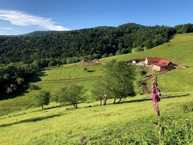 La vue sur la ferme-auberge